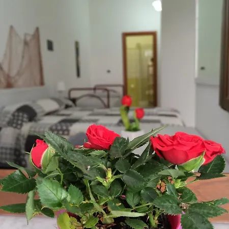 Bed & Breakfast La Meriggia Pisciotta