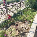 Bed & Breakfast La Meriggia Pisciotta