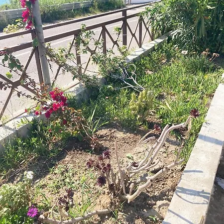 Bed & Breakfast La Meriggia Pisciotta