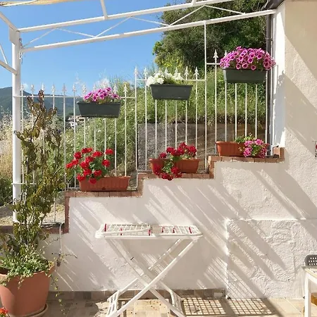 La Meriggia Oda ve Kahvaltı Pisciotta