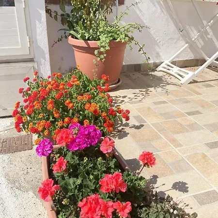 La Meriggia Oda ve Kahvaltı Pisciotta