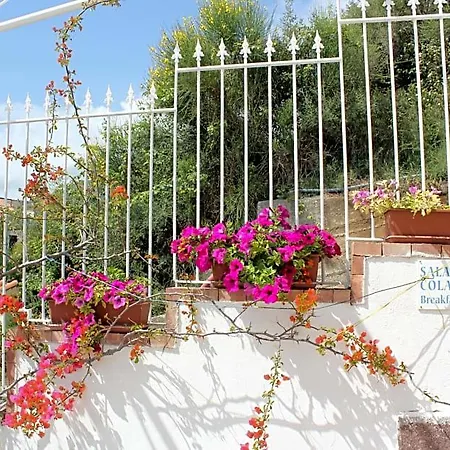 La Meriggia Bed & Breakfast Pisciotta