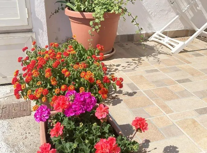 La Meriggia Bed & Breakfast Pisciotta